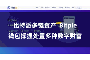 比特派多链资产 Bitpie钱包撑握处置多种数字财富
