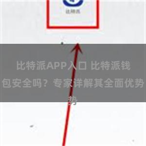 比特派APP入口 比特派钱包安全吗？专家详解其全面优势