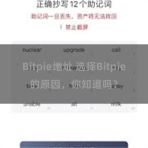 Bitpie地址 选择Bitpie的原因，你知道吗？