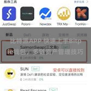 比特派APP 快速上手Bitpie钱包，多链资产管理技巧