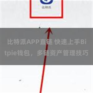 比特派APP直链 快速上手Bitpie钱包，多链资产管理技巧