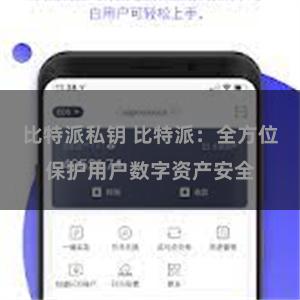 比特派私钥 比特派：全方位保护用户数字资产安全