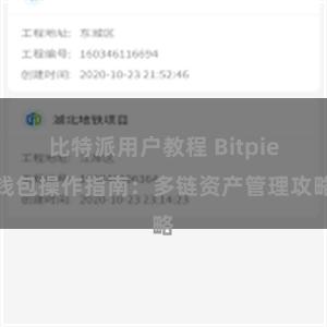 比特派用户教程 Bitpie钱包操作指南：多链资产管理攻略