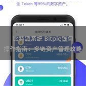 比特派系统 Bitpie钱包操作指南：多链资产管理攻略