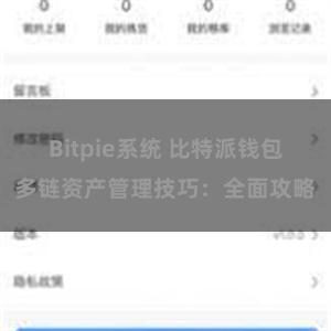 Bitpie系统 比特派钱包多链资产管理技巧：全面攻略