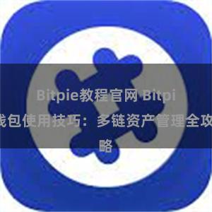 Bitpie教程官网 Bitpie钱包使用技巧：多链资产管理全攻略