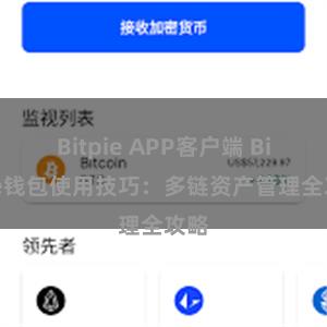 Bitpie APP客户端 Bitpie钱包使用技巧：多链资产管理全攻略