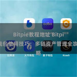 Bitpie教程地址 Bitpie钱包使用技巧：多链资产管理全攻略