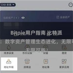 Bitpie用户指南 比特派钱包：数字资产管理生态进化，无限可能！