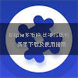 Bitpie多币种 比特派钱包：新手下载及使用指南