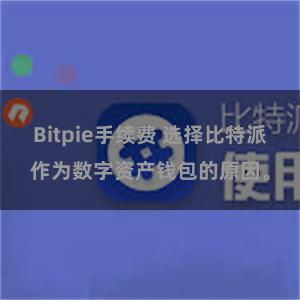 Bitpie手续费 选择比特派作为数字资产钱包的原因。