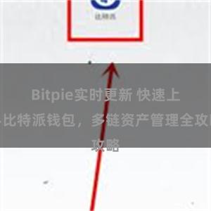 Bitpie实时更新 快速上手比特派钱包，多链资产管理全攻略