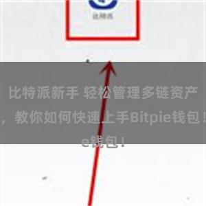 比特派新手 轻松管理多链资产，教你如何快速上手Bitpie钱包！