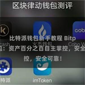 比特派钱包新手教程 Bitpie钱包：资产百分之百自主掌控，安全可靠！