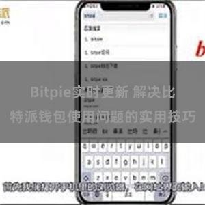 Bitpie实时更新 解决比特派钱包使用问题的实用技巧