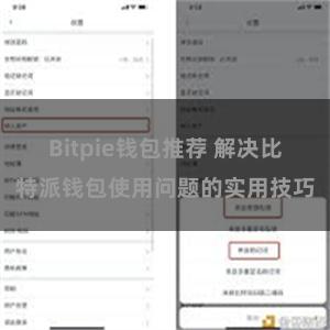 Bitpie钱包推荐 解决比特派钱包使用问题的实用技巧