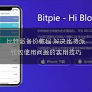 比特派备份教程 解决比特派钱包使用问题的实用技巧