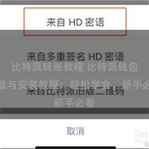 比特派转账教程 比特派钱包下载与安装教程：轻松学会，新手必看