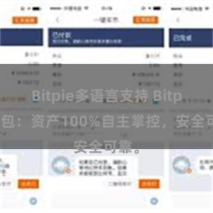 Bitpie多语言支持 Bitpie钱包：资产100%自主掌控，安全可靠。