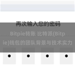 Bitpie转账 比特派(Bitpie)钱包的团队背景与技术实力