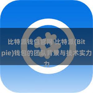 比特派钱包官网 比特派(Bitpie)钱包的团队背景与技术实力