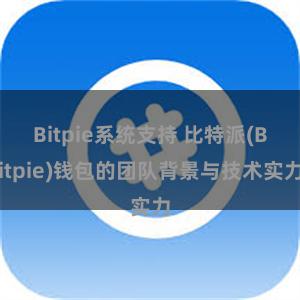 Bitpie系统支持 比特派(Bitpie)钱包的团队背景与技术实力