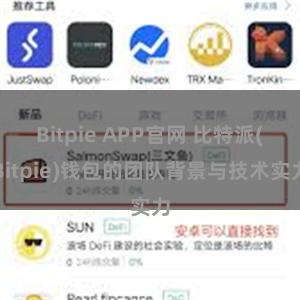 Bitpie APP官网 比特派(Bitpie)钱包的团队背景与技术实力