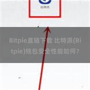 Bitpie直链下载 比特派(Bitpie)钱包安全性能如何？