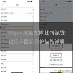 Bitpie系统支持 比特派钱包用户隐私保护措施详解