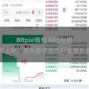 Bitpie钱包 Bitpie排名上升，成为数字货币行业领先者