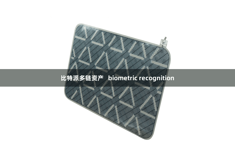 比特派多链资产   biometric recognition